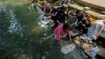 Menghemat Air Bersih, Warga Tangerang Pilih Cuci Baju di Sungai