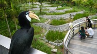 Taman burung ini sendiri terdiri dari delapan aviari yang bisa dilalui sambil berjalan kaki dengan santai.  