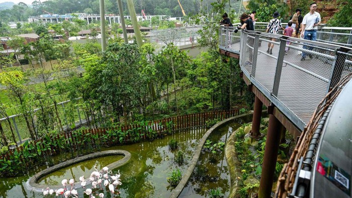 Mengunjungi Bird Paradise Singapura, Rumah Bagi 3.500 Burung Visitors walk to enter the new Bird Paradise park in Mandai Wildlife Reserve during its official opening in Singapore on May 8, 2023. (Photo by Roslan RAHMAN / AFP) (Photo by ROSLAN RAHMAN/AFP via Getty Images)