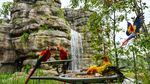 Mengunjungi Bird Paradise Singapura, Rumah Bagi 3.500 Burung
