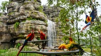 Bird Paradise menjadi rumah bagi 3.500 burung dari 400 spesies yang ada.  