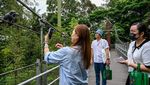 Mengunjungi Bird Paradise Singapura, Rumah Bagi 3.500 Burung