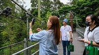 Ada beragam aktivitas yang bisa dilakukan di taman ini, di antaranya melihat atraksi burung, permainan air, hingga kuliner. Lalu berbelanja merchandise dan hunting ataupun berfoto bersama berbagai macam jenis burung yang ada di Bird Paradise.  