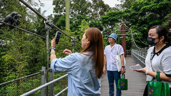 Mengunjungi Bird Paradise Singapura, Rumah Bagi 3.500 Burung Visitors walk to enter the new Bird Paradise park in Mandai Wildlife Reserve during its official opening in Singapore on May 8, 2023. (Photo by Roslan RAHMAN / AFP) (Photo by ROSLAN RAHMAN/AFP via Getty Images)