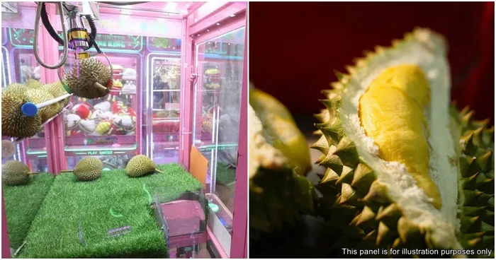 Mesin capit durian