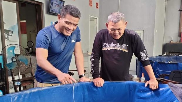Pehobi Ikan Koi pegagas kontes ikan aragoke di Jabar Deny Fouthjahjanto
