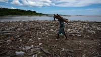 Seorang pria mengumpulkan bambu di antara sampah, termasuk sampah plastik dan limbah rumah sakit, di Pantai Paparo di Negara Bagian Miranda, Venezuela, pada 6 Juni 2023.  