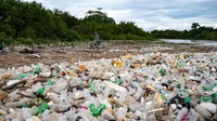 Berton-ton sampah termasuk sampah rumah sakit, botol dan wadah plastik, kayu, di antara bahan-bahan lain yang dikumpulkan oleh sungai Guaire dan Tuy dalam perjalanan mereka melalui negara bagian Miranda dan Aragua di Venezuela, mencapai pantai melalui muara di pantai Paparo.  
