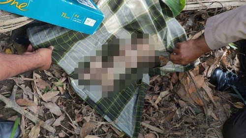 Mayat bayi laki-laki ditemukan dikerumuni semut di Sekotong Lombok Barat, Senin (12/6/2023).