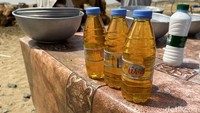 Di peternakan ini unta juga diambil air kencingnya. Khasiatnya juga baik buat stamina, bahkan lebih baik dari susunya karena kabarnya menjadi obat kanker. Satu botol 250ml dijual lebih mahal, 20 Riyal setara Rp 100 ribu (Kurs 1 Riyal = Rp 4.000). Katanya kencing unta mahal karena unta tidak tiap hari buang air, tapi seminggu sekali saja. Foto: Meliyanti Setyorini