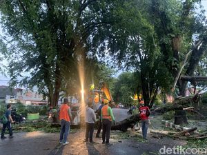 Pohon Tumbang, Jalan Mongonsidi Medan Ditutup Sementara