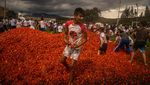 Serunya Festival Perang Tomat di Kolombia