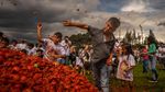 Serunya Festival Perang Tomat di Kolombia