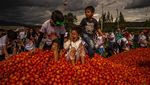 Serunya Festival Perang Tomat di Kolombia