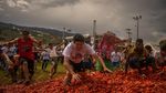 Serunya Festival Perang Tomat di Kolombia