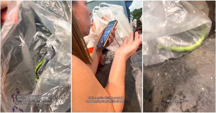 Pesan Online 1/2 Kg Buncis, Wanita Ini Hanya Terima Satu Buah Buncis