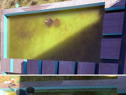 Perbedaan Mencengangkan Lokasi Sebelum dan Sesudah Dibersihkan