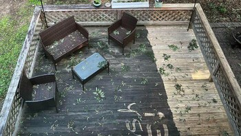 Terlihat perbedaannya ketika dibersihkan menggunakan alat power wash. Foto: Boredpanda