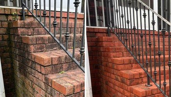 Tanga jadi apik setelah dibersihkan. Foto: Boredpanda
