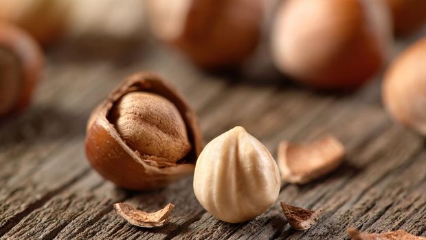 Hazelnut Ilustrasi hazelnut.