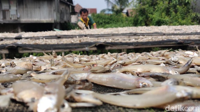 Ikan asin yang dijemur di Kampung Siabang, Palembang. (Welly Jasrial Tanjung/detikSumbagsel)