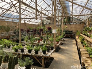 Serunya Belajar Farming di Jendela Alam Bandung, Anak Pasti Suka