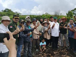 Kementan Pastikan Produksi Sayuran di Solok Memadai Jelang Idul Adha
