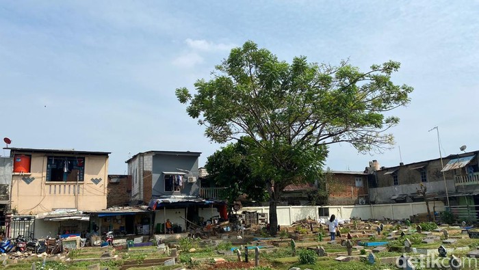 Kondisi terkini TPU Prumpung, Jakarta Timur. (Fathia Nabila Qonita/detikcom)