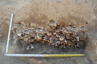 Kuburan massal vampir di Polandia