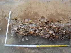 Penampakan Seram Kuburan Massal Vampir di Polandia