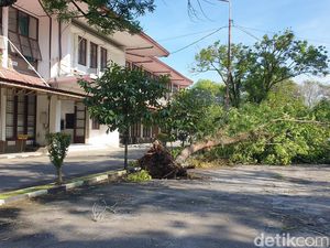 Diterpa Angin Puting Beliung-Hujan Deras, Pohon di Areal USU Bertumbangan
