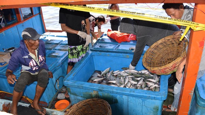 Penangkapan kapal nelayan dengan bahan peledak di Aceh Pekerja membongkar ikan hasil tangkapan kapal nelayan yang menggunakan bahan peledak di Pelabuhan Perikanan Samudera (PPS) Lampulo, Banda Aceh, Aceh, Senin (12/6/2023). Pangkalan Pengawas Sumber Daya Kelautan dan Perikanan (PSDKP) bersama Polri, menangkap satu unit kapal nelayan yang menggunakan bahan peledak beserta empat ton ikan dan mengamankan delapan ABK saat beroperasi di wilayah terluar Pulau Simeulue, provinsi Aceh. ANTARA FOTO/Ampelsa/rwa.