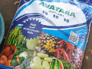 Awas! Beredar Pupuk Palsu di Situbondo, Dijual Lebih Murah-Nutrisi Rendah