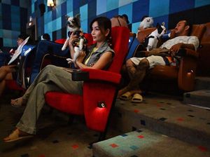 Unik, Ada Bioskop Ramah Hewan di Thailand