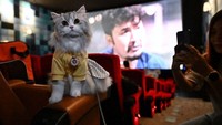 Seekor kucing peliharaan menjelajahi kursi di dalam bioskop pada hari pembukaan pembukaan i-Tail Pet Cinema ramah hewan peliharaan di Major Cineplex di dalam pusat perbelanjaan Mega Bangna di Samut Prakan, Thailand, Sabtu (10/6/2023). Mereka bersiap untuk menonton film Disney The Little Mermaid bersama pemiliknya. Lillian Suwanrumpha/AFP/Getty Images