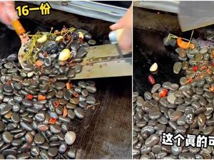 5 Makanan Pakai Bahan di Luar Nalar! Tumis Batu Pedas hingga Rice Bowl Cicak
