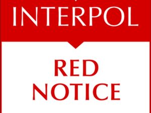 Perekrut CPMI Ilegal ke Kamboja Kabur ke LN, Polri Ajukan Red Notice