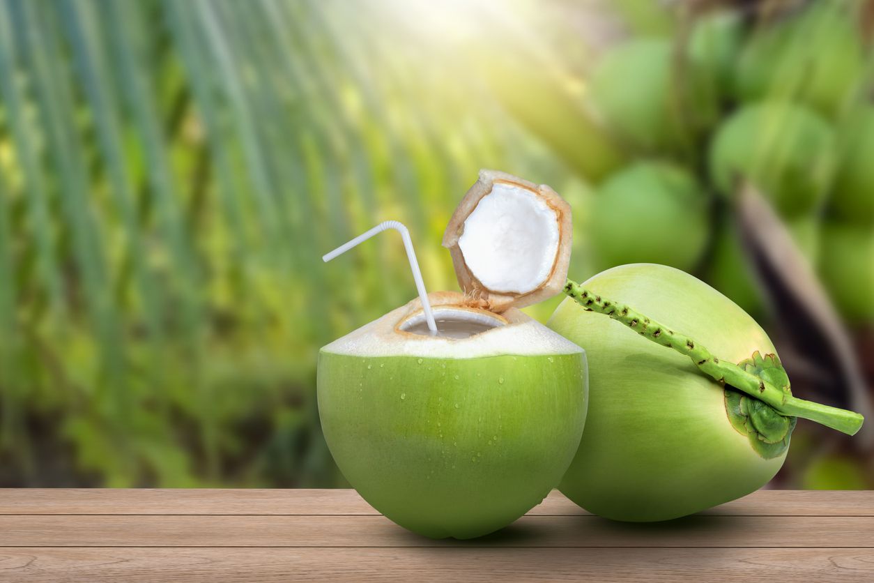 Ilustrasi Air Kelapa