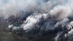 Kebakaran Hutan di Kazakhstan Tewaskan 14 Jiwa