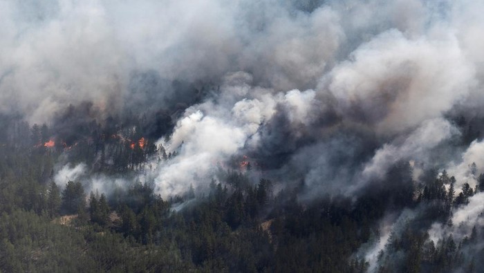 Kebakaran Hutan di Kazakhstan Tewaskan 14 Jiwa An aerial view shows smoke from wildfires rising above a forest belt in the eastern Abai region, Kazakhstan, June 12, 2023. REUTERS/Turar Kazangapov