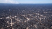 Ada sekitar 1.500 orang yang dilengkapi dengan ratusan kendaraan dan 12 helikopter sedang bekerja di lokasi, di wilayah perbatasan Rusia dan China.  