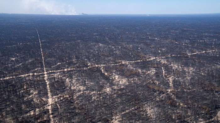 An aerial view shows smoke from wildfires rising above a forest belt in the eastern Abai region, Kazakhstan, June 12, 2023. REUTERS/Turar Kazangapov