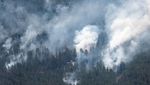 Kebakaran Hutan di Kazakhstan Tewaskan 14 Jiwa