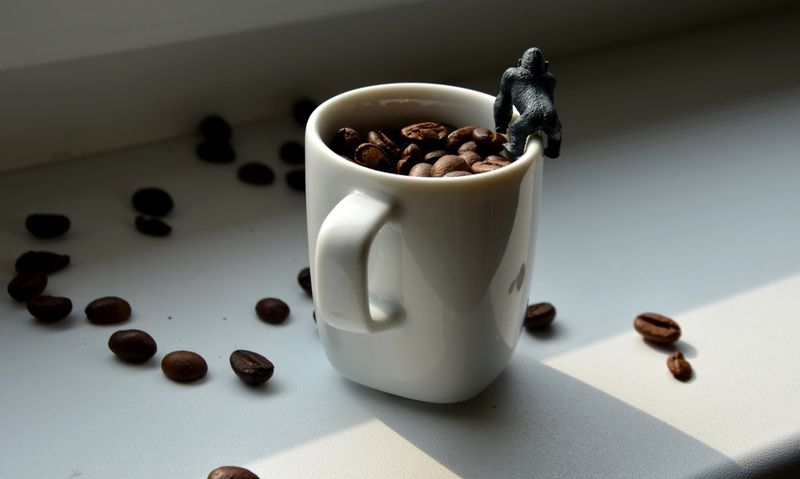 kopi monyet, jenis kopi hasil fermentasi hewan