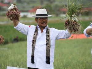 El Nino Bikin Waswas, Mentan Jamin Stok Beras Aman hingga Akhir Tahun