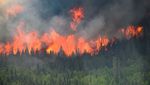Ngerinya Asap Kebakaran Hutan di Kanada