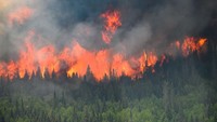 Diketahui,hampir 17.800 mil persegi hutan telah terbakar sejak awal tahun, jauh di atas rata-rata sebelumnya, di tengah perubahan iklim. Cpl Marc-Andre Leclerc/Canadian Forces/REUTERS.  