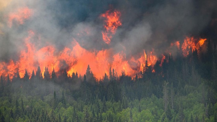 Ngerinya Asap Kebakaran Hutan di Kanada Kebakaran hutan tengah terjadi di Kanada. Diketahui,hampir 17.800 mil persegi hutan telah terbakar sejak awal tahun.