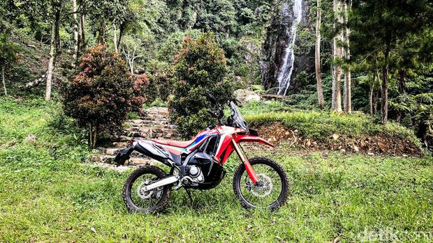 Ototest CRF250 Rally