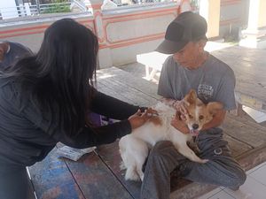 Antisipasi Anjing Gila, Badung Diguyur 40 Ribu Vaksin Rabies